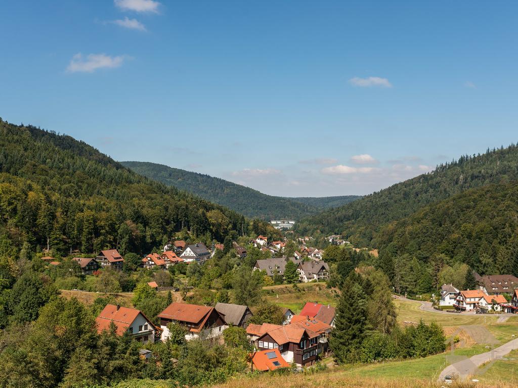 Ferienwohnungen Eva-Maria Бад-Герренальб Екстер'єр фото
